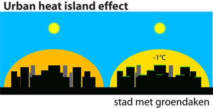 urban heat island effect